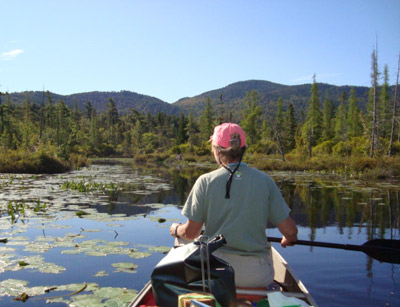 Quiet Water Trips & Nature Excursions,Saranac Lake Wild Forest,Bog River & Ten Rivers Region,St. Regis Wilderness Area,Essex Chain of Lakes, Henderson Lake,Upper Hudson River