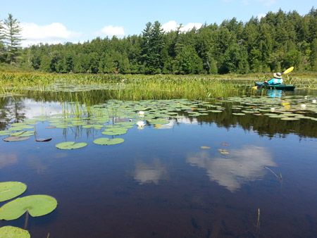 Quiet Water Trips & Nature Excursions,Saranac Lake Wild Forest,Bog River & Ten Rivers Region,St. Regis Wilderness Area,Essex Chain of Lakes, Henderson Lake,Upper Hudson River