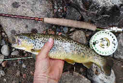 Adirondack Fly Fishing Trips, Fishing Trips