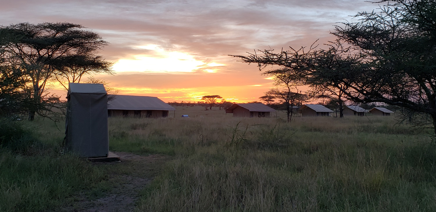 Kilimanjaro / Tarangire National Park Expedition. Adirondack All Seasons Guide Service specializes in personalized trips to Africa; Safari Trips and Climbing Kilimanjaro